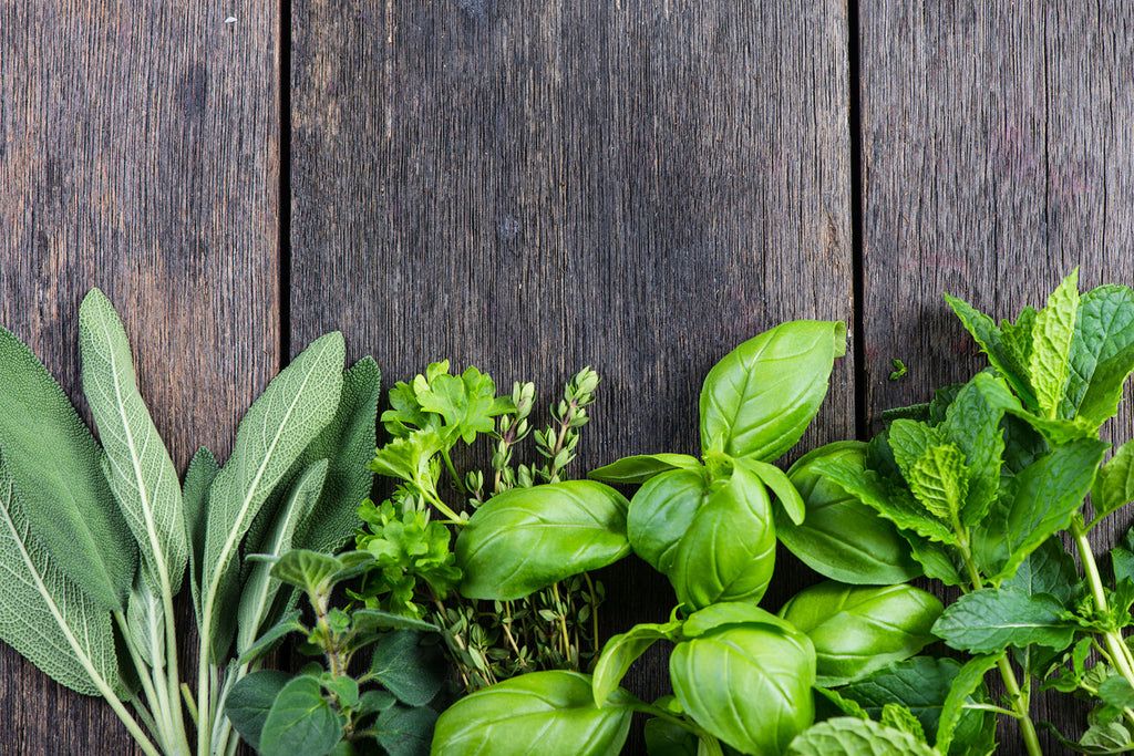 Starting an Organic Spring Herb Garden